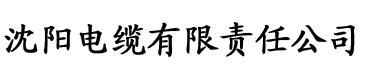 久久久久久午夜成人影院电缆厂logo